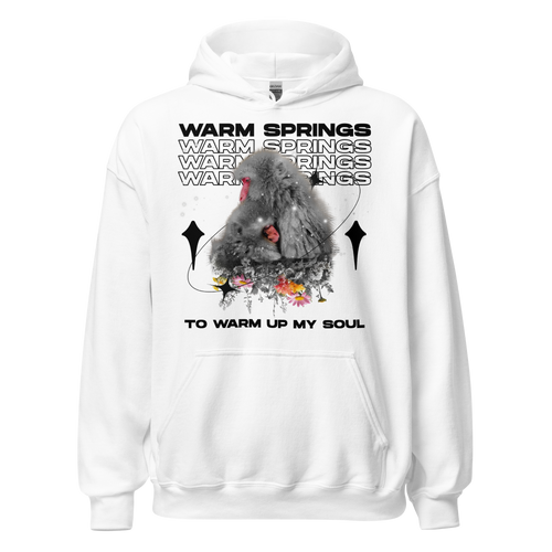 WARM SRPINGS Unisex Hoodie - Light